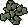 Willow leaves
